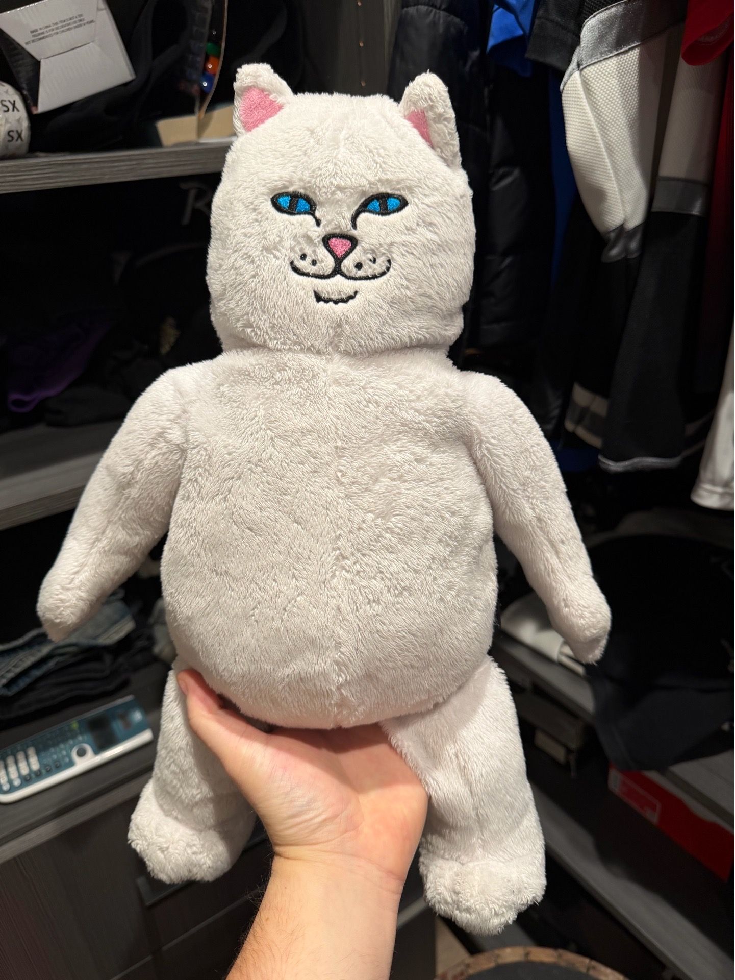 RIPNDIP