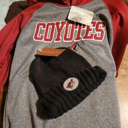 Arizona Coyotes Set