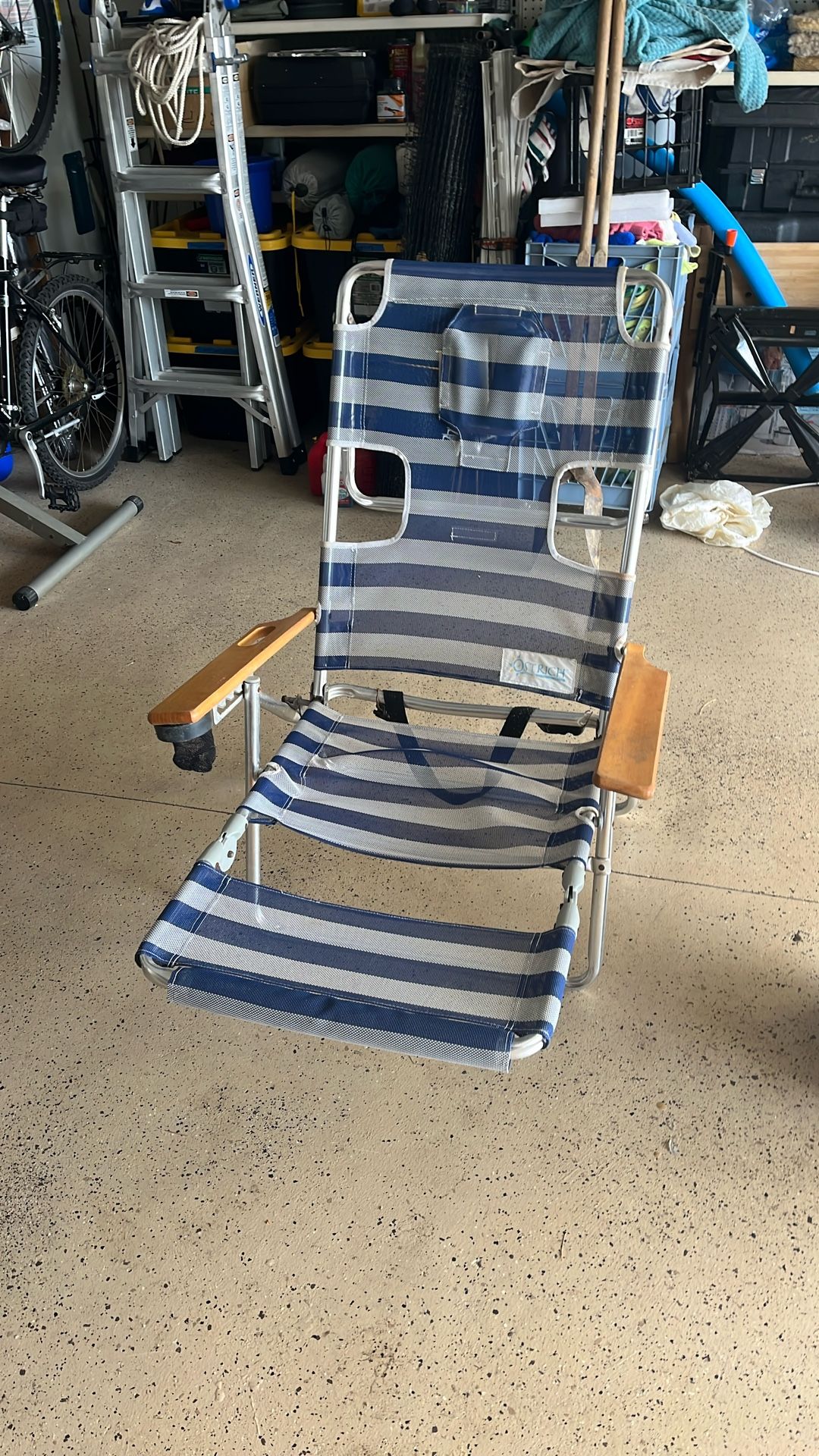 Ostrich Beach Chair