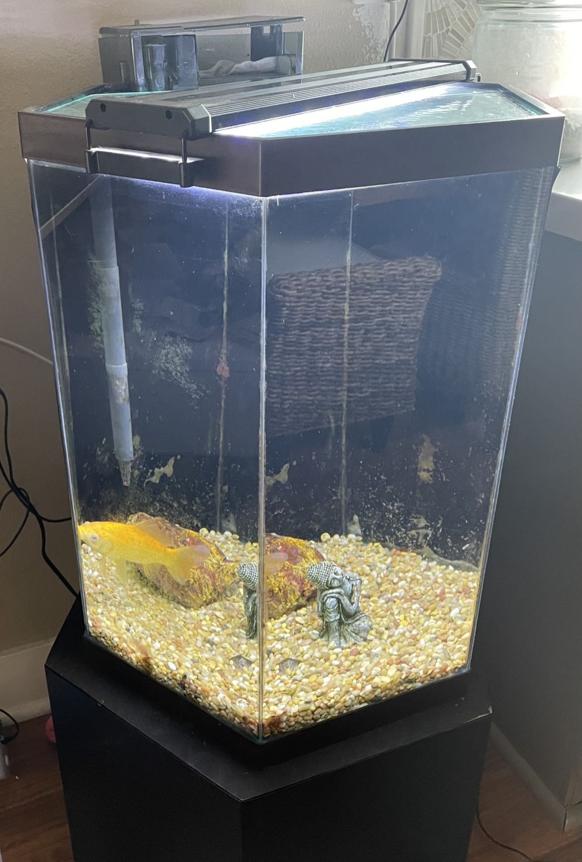 25 Gallon fish Tank