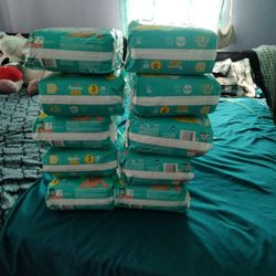 10 Pack Pampers Size 3 