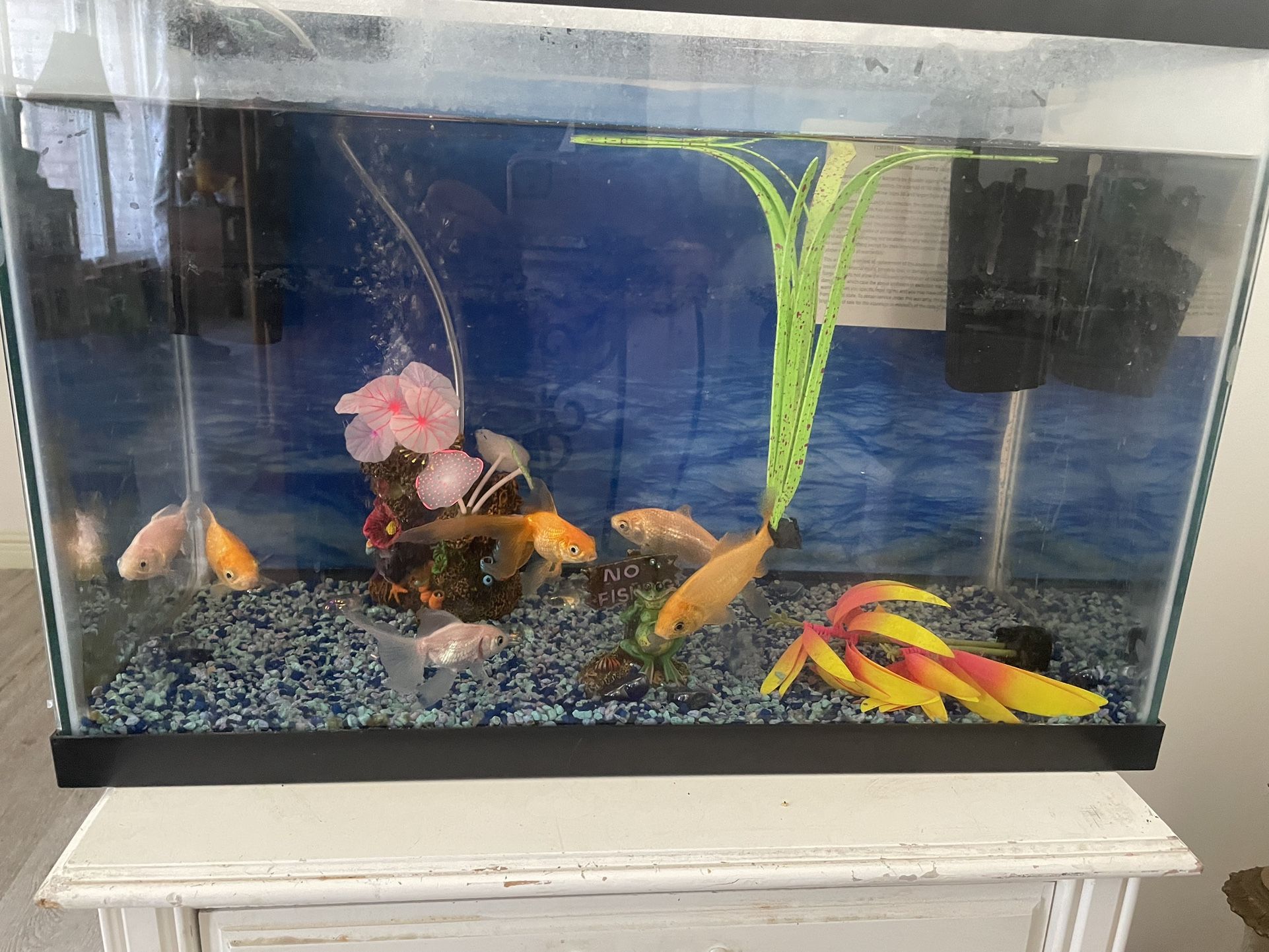 Beautiful Aquarium 45 Gallons All Supplies Are Includes