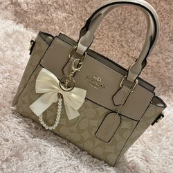 Coach Bag 🤎