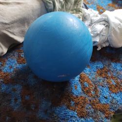 85 Cm Exercise Ball