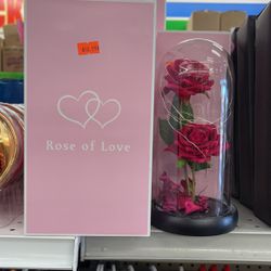 Rose of Love Best Valentine’s Day Gift