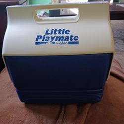 Camper Cooler (Small)