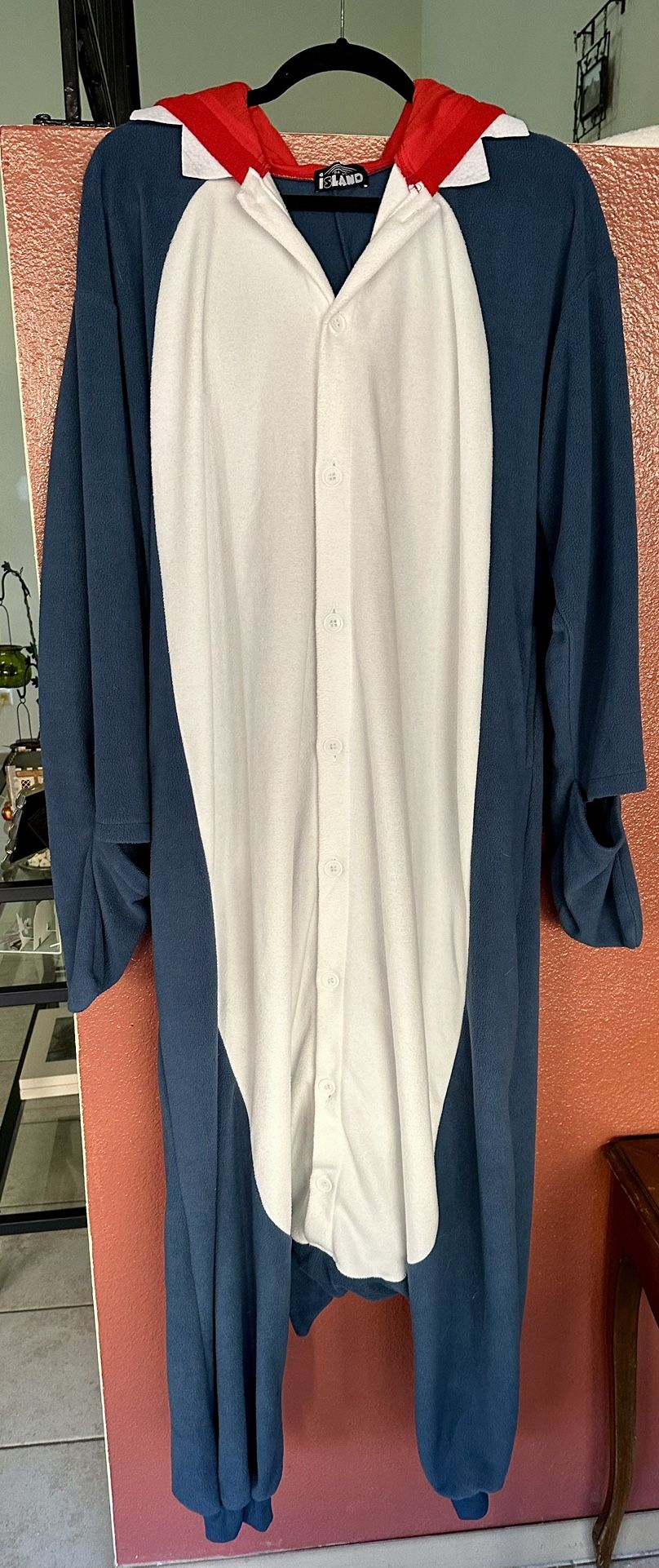 Halloween Costume/Pajamas