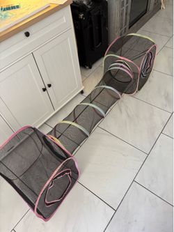 Cat Tunnel