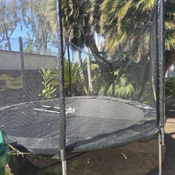 New Trampoline Since XMAS 