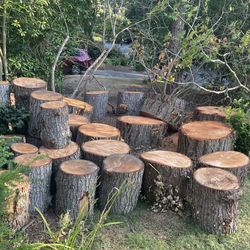 Free- Douglas Fir Firewood Rounds