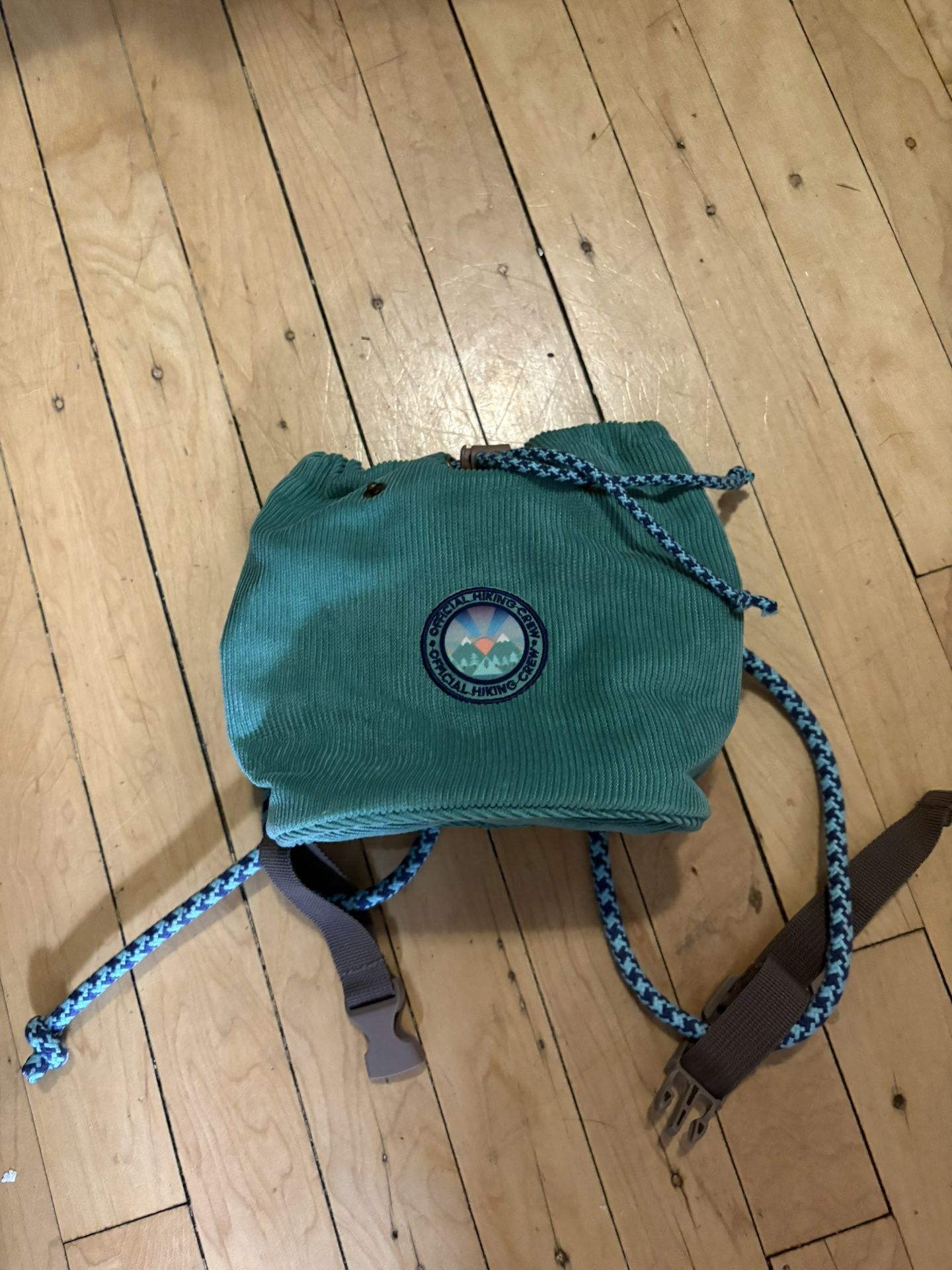 Small Dog Backpack