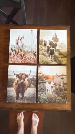 Wall Art Country Canvas