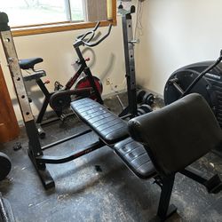 Exercise Bench