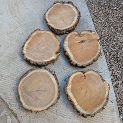 Mesquite Wood Rounds