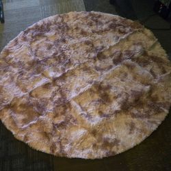 Circular Area Rug