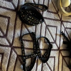 Cat Or Small Animal Leash