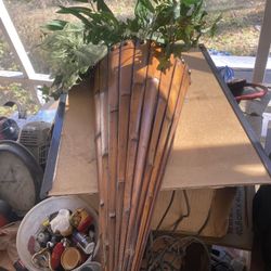 24 Inch Wall Plant Scone