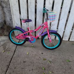Schwinn Jasmine Girls' 16-inch Bike based on the image