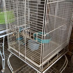 Bird Cage/ Jaula 