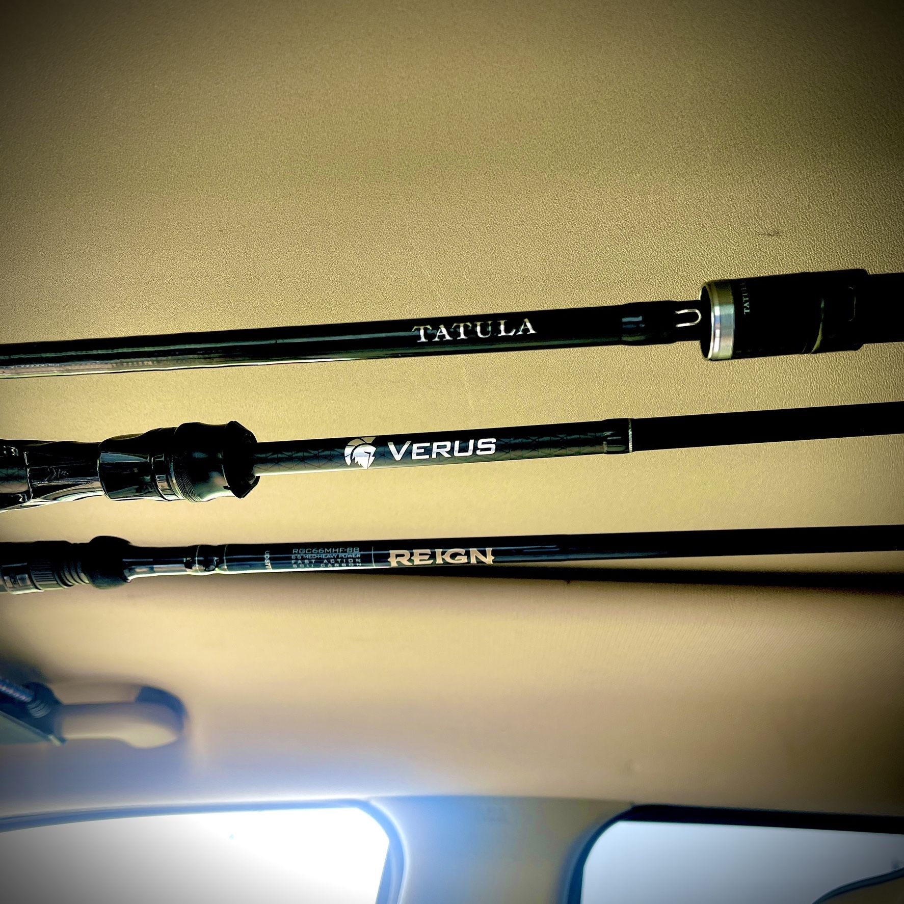 Kast Custom Rods Daiwa Tatula, St. Croix, Kast King casting rods for Sale in Crystal ...