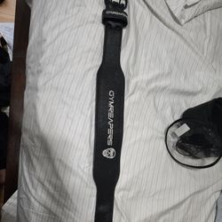 Gym Reaper Weight Listing Belt