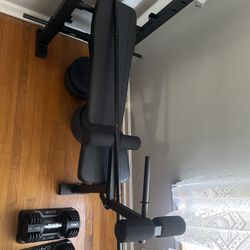 Bench Press And Dumbbells 