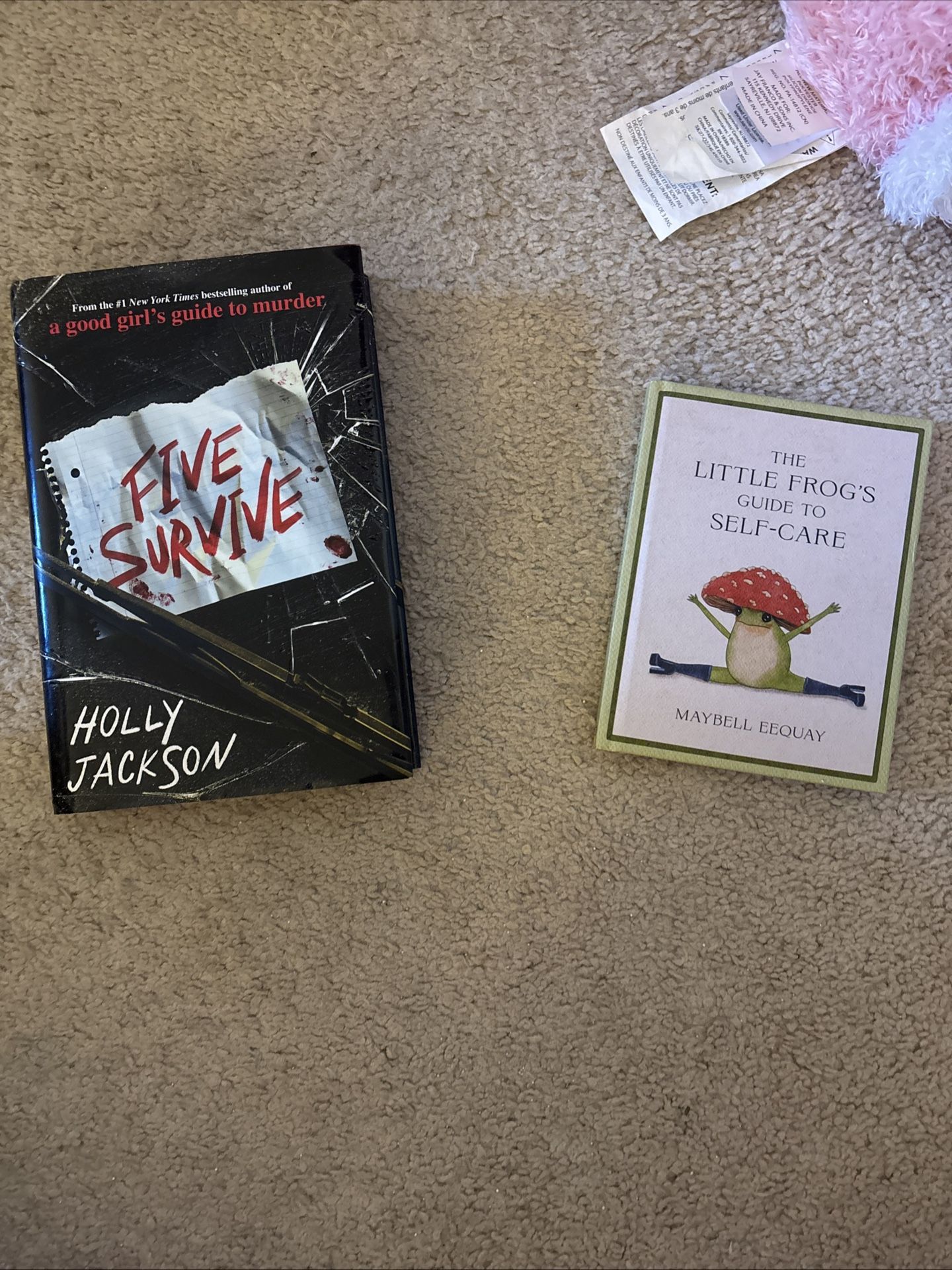 Five Survive by Holly Jackson (2022 Hardcover) Perfect Shape Fast Shipping / Frog book guide to self care! 
