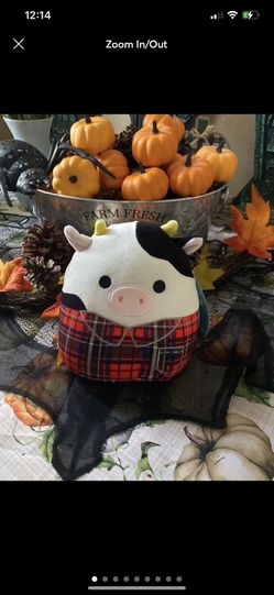 Conor The Cow Squishmallow