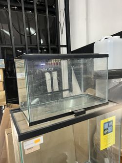 10 Gallon Glass Tank