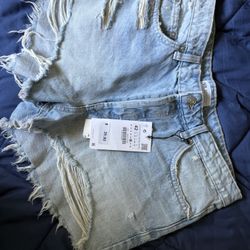 Women’s Shorts