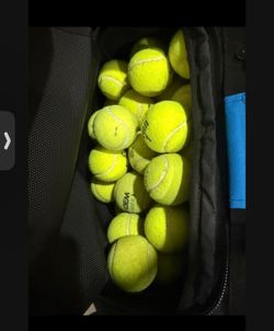 Used Tennis Balls for Dogs - 50 Pack