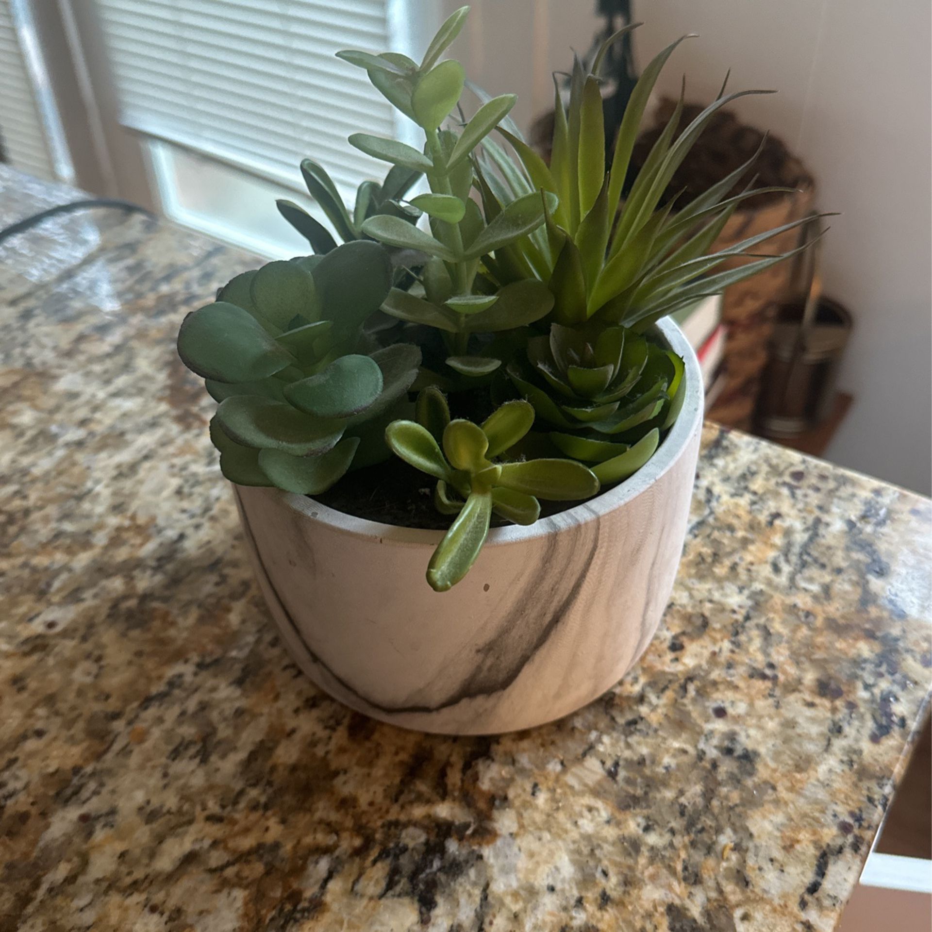 Realistic Looking Faux Succulent With Marble Container