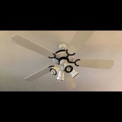 Ceiling Fans