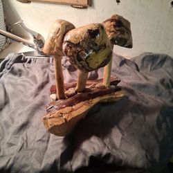 Mushroom Arrangement 