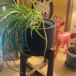 Plant Pot & Stand Planter