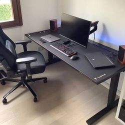 Secret Lab XL Desk 