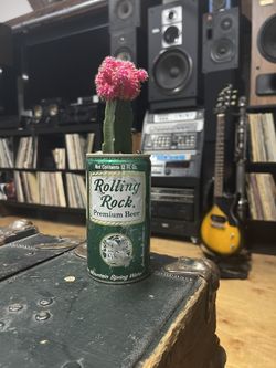 Vintage Rolling Rock Beer Can Cactus