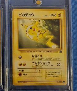 Japanese Pikachu pokemon