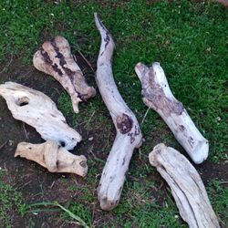 6 Pieces Of Natural Driftwood For Aquariums Terrariums Decor Etc 