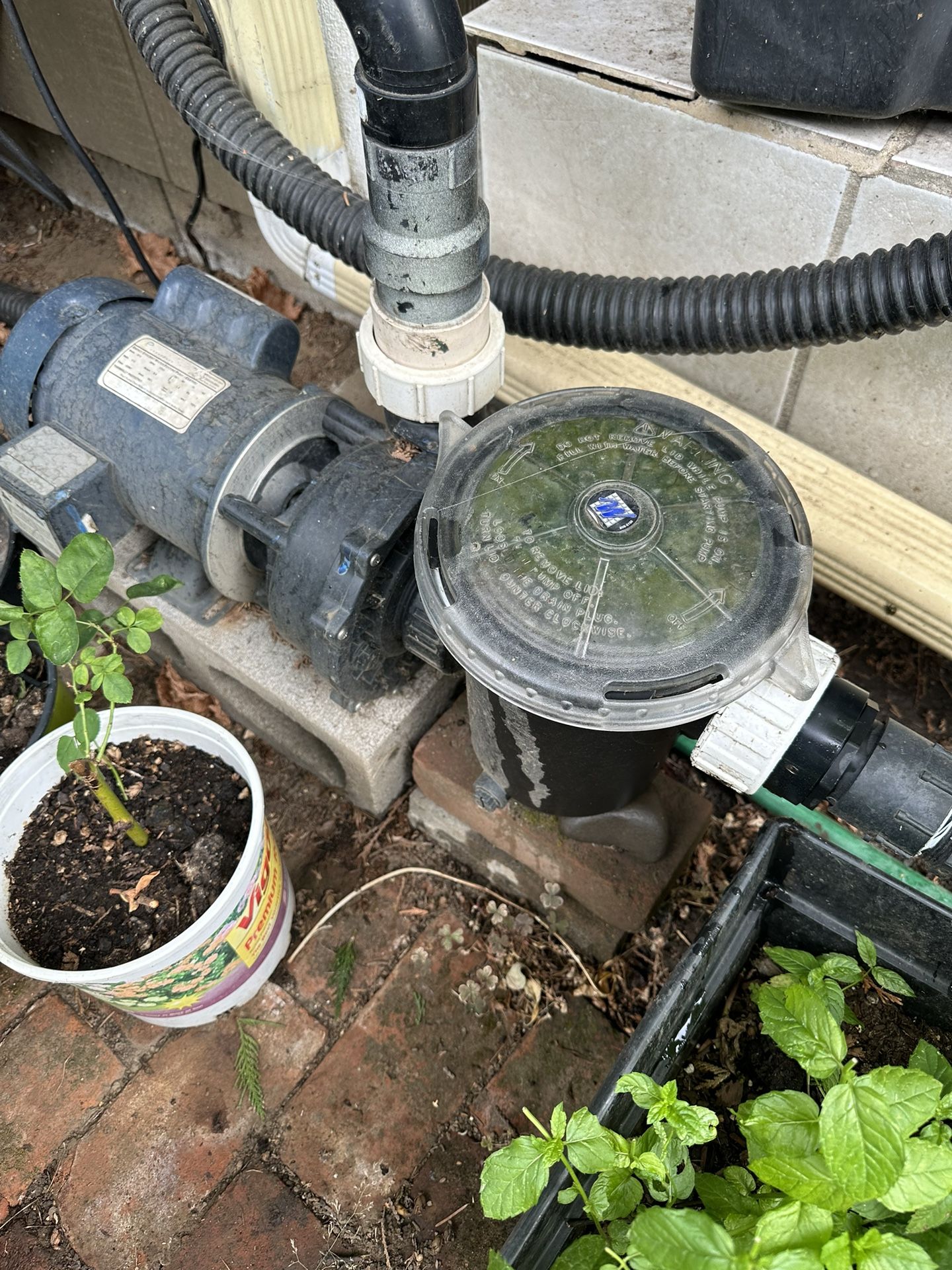 Pond Filter