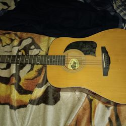 George Washburn Guitar