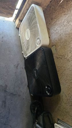 Fans $30