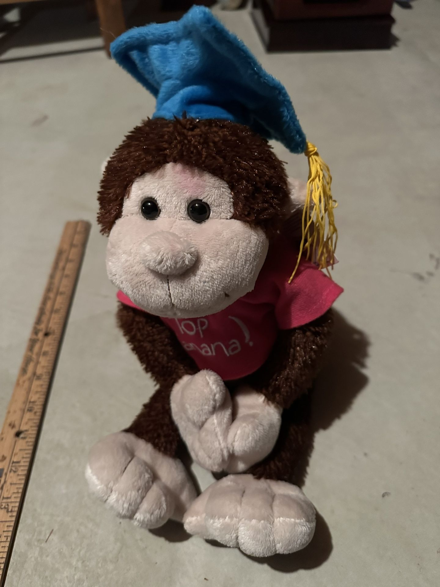 Graduation Monkey Plush