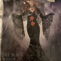 Adult Morticia /Black Widow Halloween Costume 