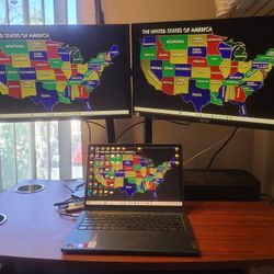 Dual Computer Monitors