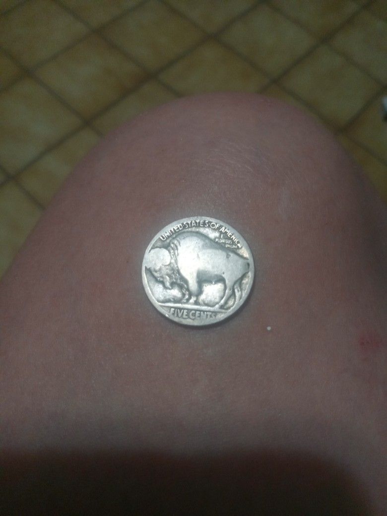 BUFFLO HEAD NICKEL Silver
