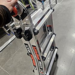 14-ft Reach Type 1a- 300-lb Load Capacity Telescoping Multi-Position