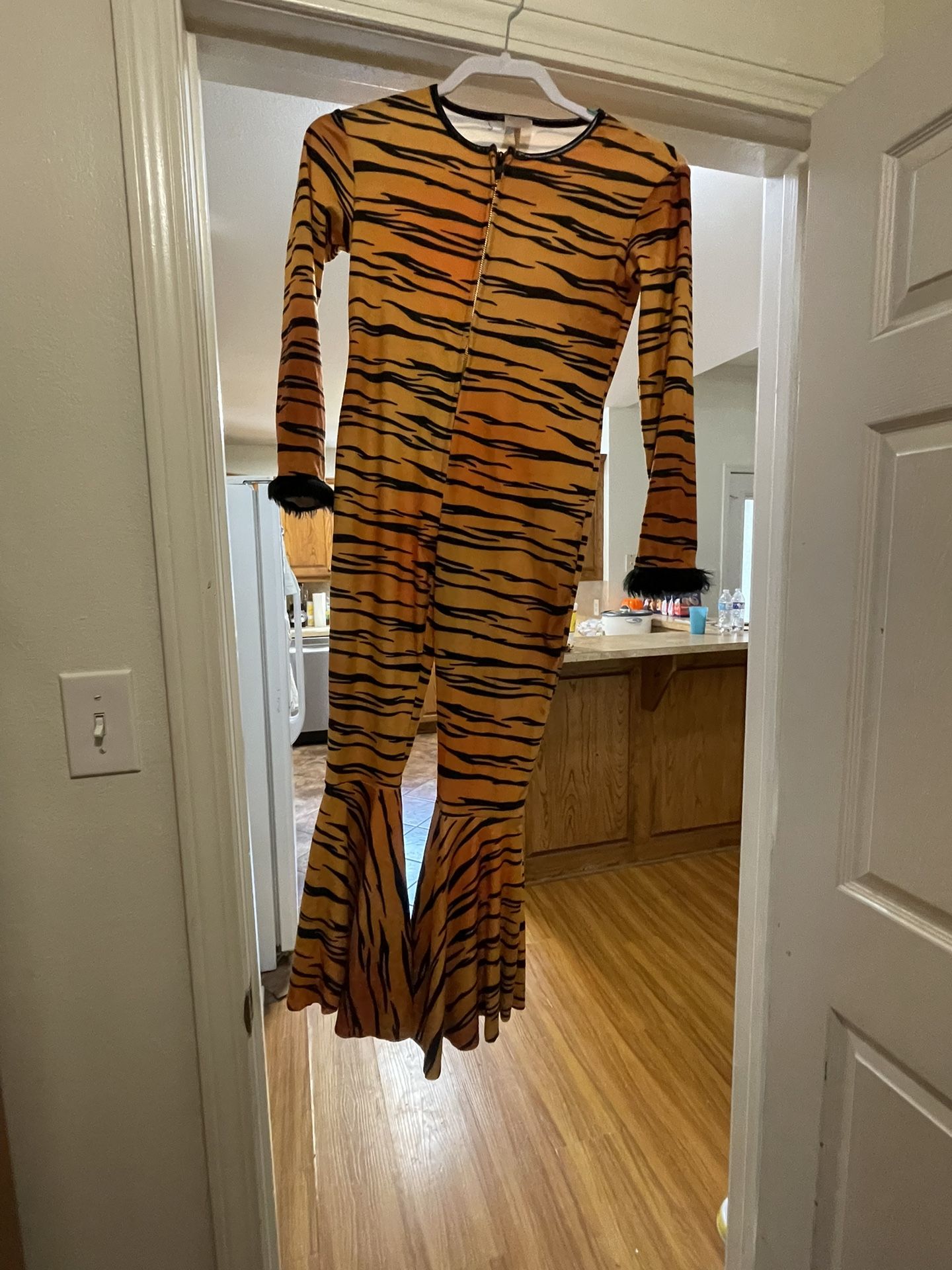 Tiger Costume 
