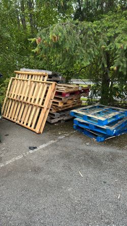 Lot of Used Wooden Pallets