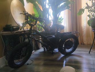 Ebike